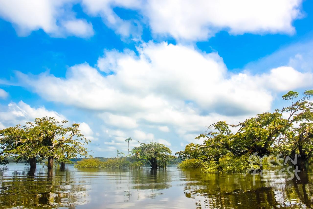 Green Forest Ecolodge Puerto Montufar Zewnętrze zdjęcie